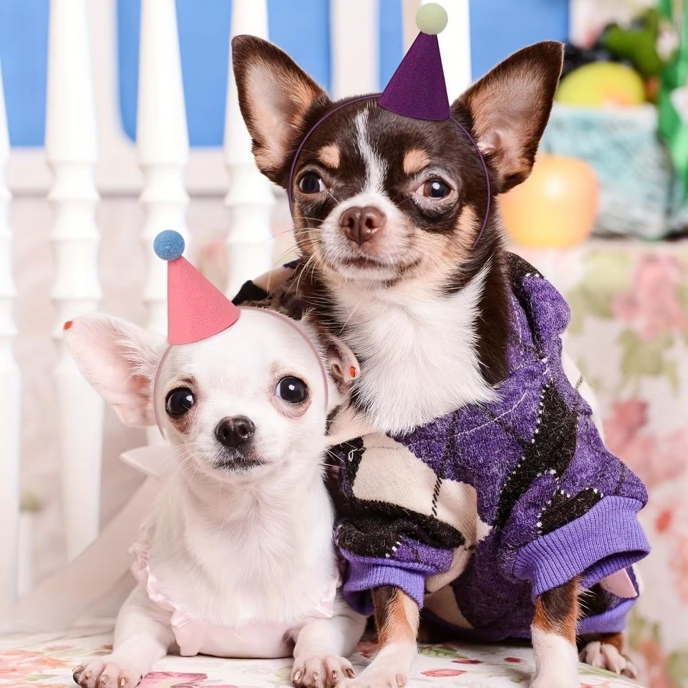Ensemble de 6 chapeaux de fête - Party Hat Cone avis et prix
